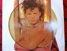 LUIS MIGUEL **Busca Una Mujer ** LIMITED EDITION PICTURE DISC LP Mexico 1988