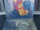 2x Avi Buffalo Vinyl Albums - Avi Buffalo + At Best Cuckold (Clear Vinyl) VG+