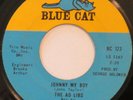 AD LIBS Johnny My Boy / I’m Just Down Home Girl BLUE CAT 45 northern soul HEAR