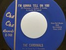 Indiana Garage 45 The Cardinals I'm Gonna Tell On You on Cha Cha w/ Pic Sleeve