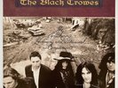 The Southern Harmony And Musical Companion, by The Black Crowes Europe 1992 Def American Recordings