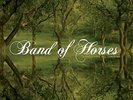 Band of Horses 