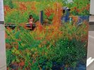 Jhené Aiko - Trip Translucent Orange Vinyl LP