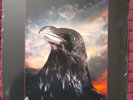 THE STRANGLERS - THE RAVEN -  Ltd Coloured Vinyl LP.Art Print No 1324/1500 CGLP4