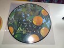 LANA DEL REY: VIOLET BENT BACKWARDS OVER THE GRASS LP Vinyl Picture Disc Ltd Ed