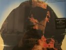 Kiss Hot In The Shade NEW SEALED VINYL LP 180g 2014 Remastered RARE OOP Forever