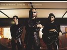 Bee Gees This Is Where I Came In (DJ Domino Remixes)  Usa 12