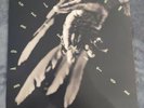 Bad Religion Generator 11 Track Vinyl Album Inc Insert  Punk/Hardcore