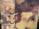 Moondance - Van Morrison (Vinyl New) in cling in sealed Unplayed