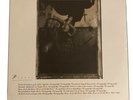 pixies surfer rosa vinyl