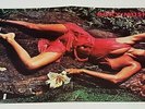 Roxy Music 