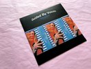 Guided By Voices : Hold On Hope : 7