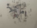 Frightened Rabbit The Midnight Organ Fight Vinyl