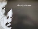 Radio Birdman Sealed OZ Reissue LP Living eyes Citadel CITLP581 Punk Rock