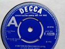 The Frays - For Your Precious Love / My Girl Sloopy - 1965 UK Decca Demo F12229