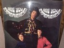 Jimmy Hendix - Are You Experienced 12” Vinyl