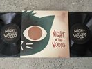Night In The Woods 2 LP VINYL Record - Not Moonshake - Ghost Ramp - iam8bit