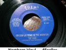 LOU PRIDE 'I'm Com'un Home In The Morn'un' EX- Northern Soul 45