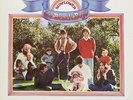 BEACH BOYS - SUNFLOWER - EXCELLENT
