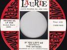 Garage / Surf--The Savages--If You Left Me / Little Miss Sad