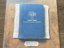 FRIGHTENED RABBIT - PEDESTRIAN VERSE - VINYL LP ALBUM - EXCELLENT CONDITION