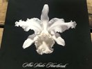 Kings of Leon - Aha Shake Heartbreak Vinyl