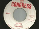 GARAGE ROCKER- MOTIONS (HOLLAND) -  IT'S GONE  - HEAR -1965 PROMO CONGRESS