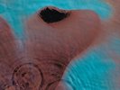 PINK FLOYD-MEDDLE (GATE) (OGV) (US IMPORT) VINYL LP NEW