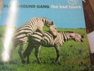 BLOODHOUND GANG / THE BAD TOUCH   12 inch VINYL  REMIXE