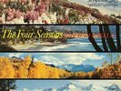 Societa Corelli- Vivaldi: The Four Seasons Analogue Productions 180g QRP