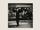 TERMINAL JIVE (LP/WHITE VINYL/CD)