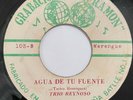 TRIO REYNOSO - Agua de tu fuente / MERENGUE TIPICO 45 Grabaciones San Ramon VG+