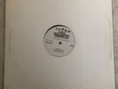 Jay- Z Linkin Park Numb / Encore 2 NEVER PLAYED Vinyl DJ PROMO 2004 ACAPELLA