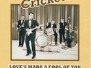 The Crickets (Buddy Holly) 