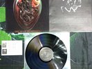 Despair - Decay of Humanity LP Vinyl Thrash Metal