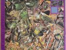 The Stone Roses So Young / Tell Me 12” Vinyl *Not orig press - Japanese* 1990