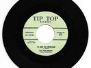 RARE DOO WOP 45 THE PERFORMERS I'LL MAKE YOU UNDERSTAND ON TIP TOP  VG+ ORIGINAL