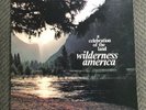 Wilderness America LP Rare Private Press Soul Jazz Prog NM Vinyl