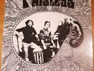 The Paisleys Behind The Cosmic Mind RAR Vinyl LP