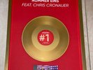 Eine goldene Schallplatte von Stereoact