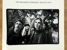 The Smashing Pumpkins  {Rotten Apples} Greatest Hits Vinyl 2LP w/Insert 2016 New