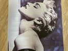 Original Madonna True Blue Poster