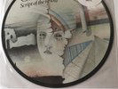 Chameleons, The - Script Of The Bridge - Used UK Import Picture Disc LP - NM