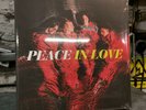 Peace - In Love Vinyl Record LP 2013 Indie Rock *Brand New Sealed* MINT 2xLP