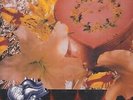 nirvana heart-shaped box 12