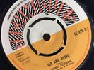 JOHNNY OSBORNE : See And Blind / Rema Skank .. 7