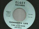 DOOWOP - VISIONS -  TEENAGERS LIFE  /  LITTLE MOON - HEAR -1960 ELGEY