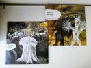 Radiohead - Pair of 12
