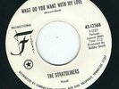 Northern Soul - The Stratoliners FEDERAL 12568 What do you want with my love ?