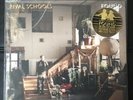 Rival Schools - Found Limited Clear 180 Gram Vinyl Record Lp. Rare
